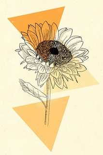 太陽花
