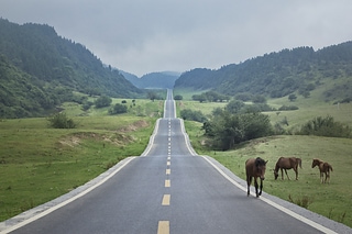 筆直的山路