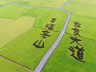 宜蘭稻間美徑