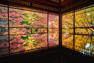 秋の瑠璃光院