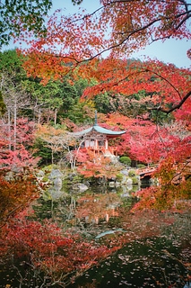 醍醐寺の紅葉