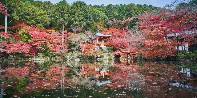 醍醐寺の紅葉