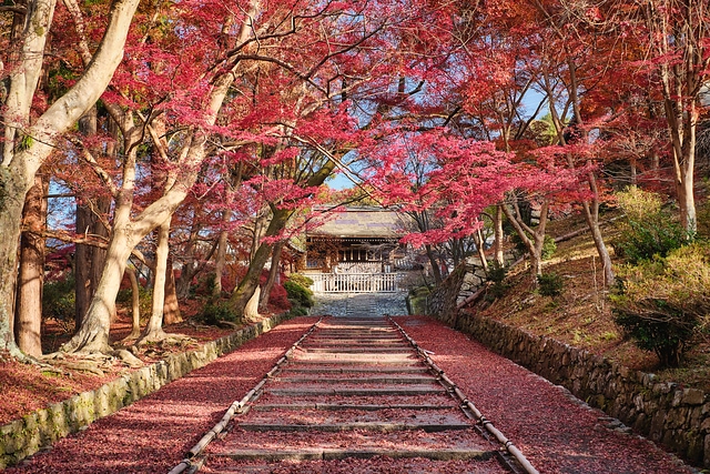 毘沙門堂の紅葉