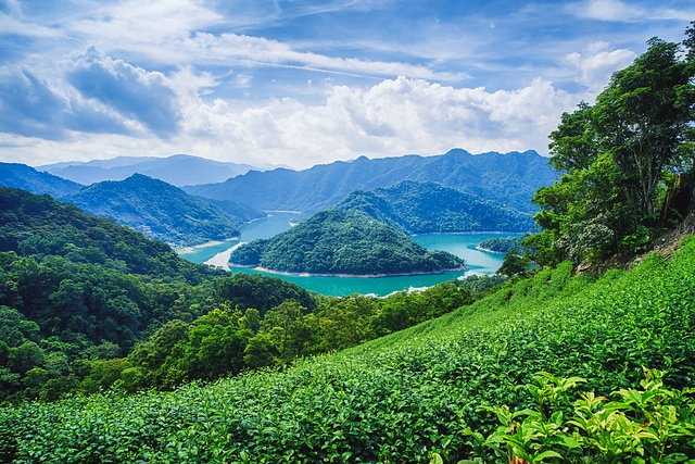 千島湖土虱頭