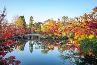 日本京都永觀堂紅葉