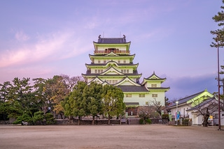 日本富山城夜景