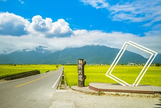 台東池上伯朗大道