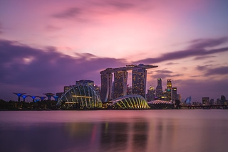 新加坡濱海灣花園夜景