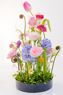 Colorful flower arrangement 色彩豐富的插花