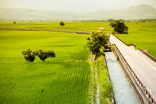 池上水圳