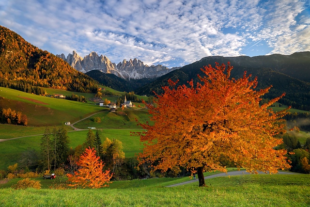 Colors of autumn in Funes Valley