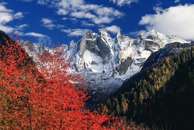 Autumn from Sciore