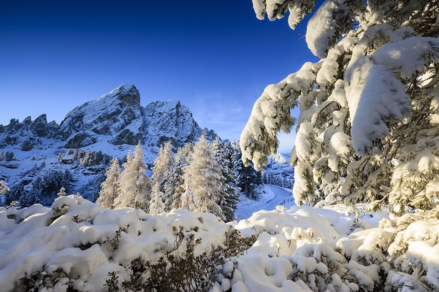 Sass De Putia Dolomites Italy