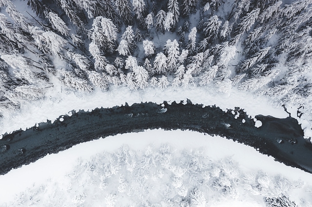 Svizzera_Engadina_Zernez_AlberiInnevati+