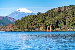 富士山及河口湖鳥居