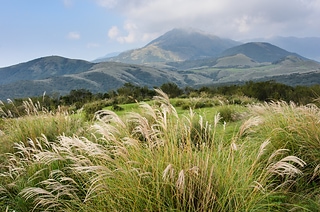 Yangmingshan National Park in Taipei