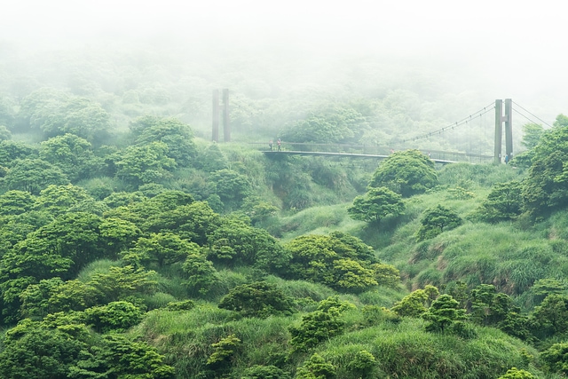 Yangmingshan National Park in Taipei