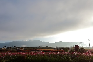 DPP_0146