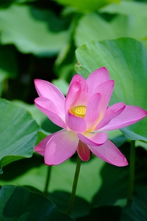 DSCF5255