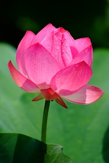 DSCF5274