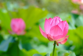 DSCF5277