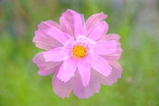 DSCF6426