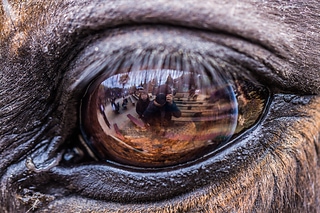 In your eyes
