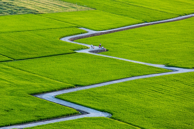 1B7A0804