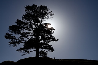 Hill