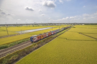 彩繪列車