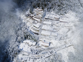 太平山雪景