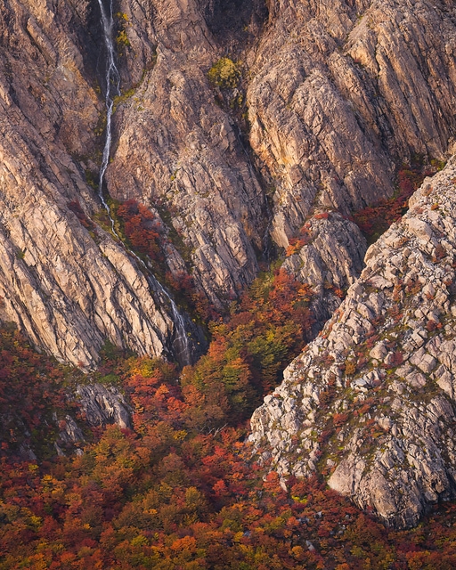 巴塔哥尼亞秋景/Autumn Patagonia