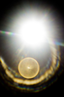 LOMO 8M_06