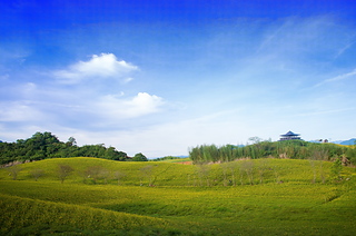 DSC_1428-3-5