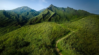 綠色山脈