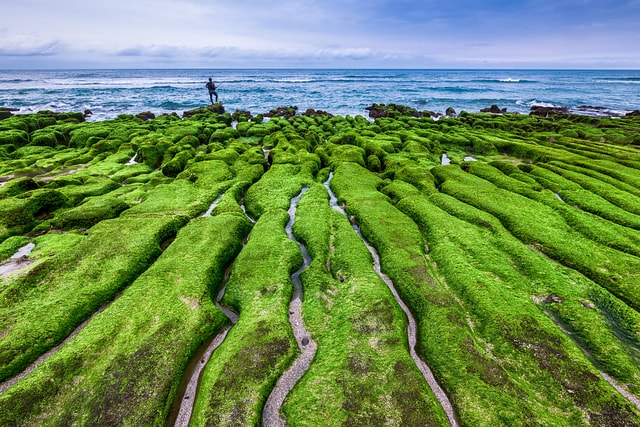 _MG_0251-編輯