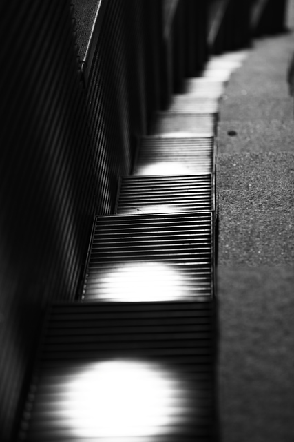 IMG_8199