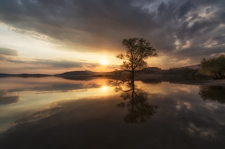 Spring sunset reflections