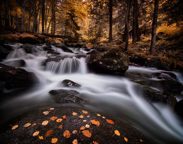 Autumn River