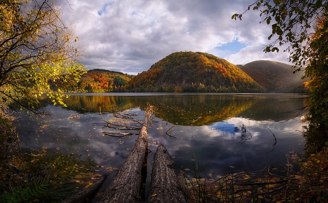 Fall