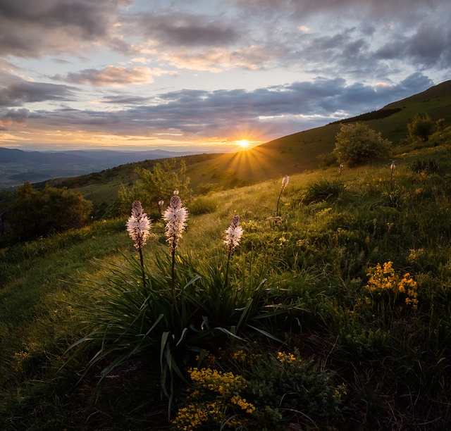 Spring sunset