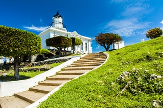 _DSC7985