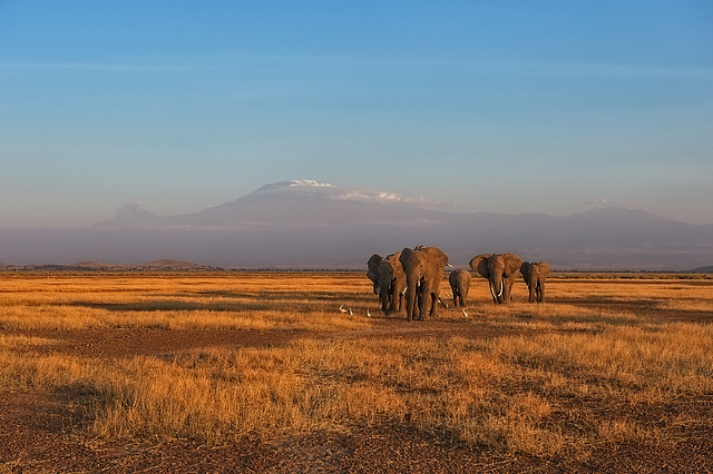 Kilimangiaro al tramonto