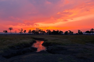Mana Pools - Masai Mara -