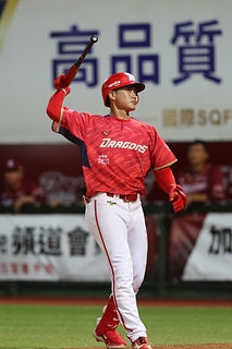 劉基鴻 再見全壘打